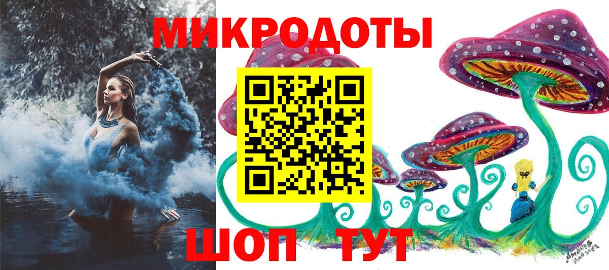 Выборг  Псилоцибиновые грибы Psilocybine cubensis  Галлюциногенные грибы мухоморы  Вход с VPN 